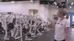 Health Clubs Las Vegas/Las Vegas Health Club/Athletic Clubs