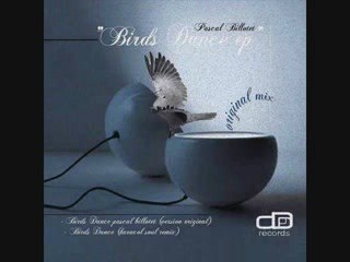 Pascal BILLOTET - Birds Dance (Original Mix)