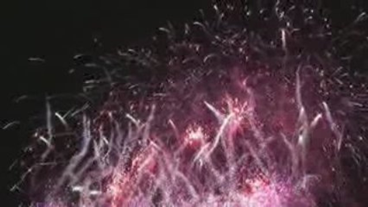 Le feu d'artifice le plus court de 2009 aux Tuileries