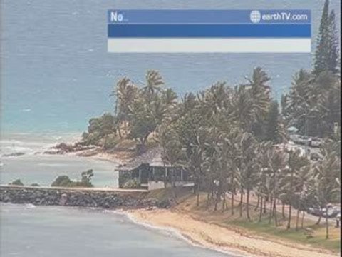 Udaipur - India, Hong Kong SAR - China, Melbourne - Australia, Izmir - Turkey, Nouméa - New Caledonia, Seattle - USA, Dubai - United Arab Emirates