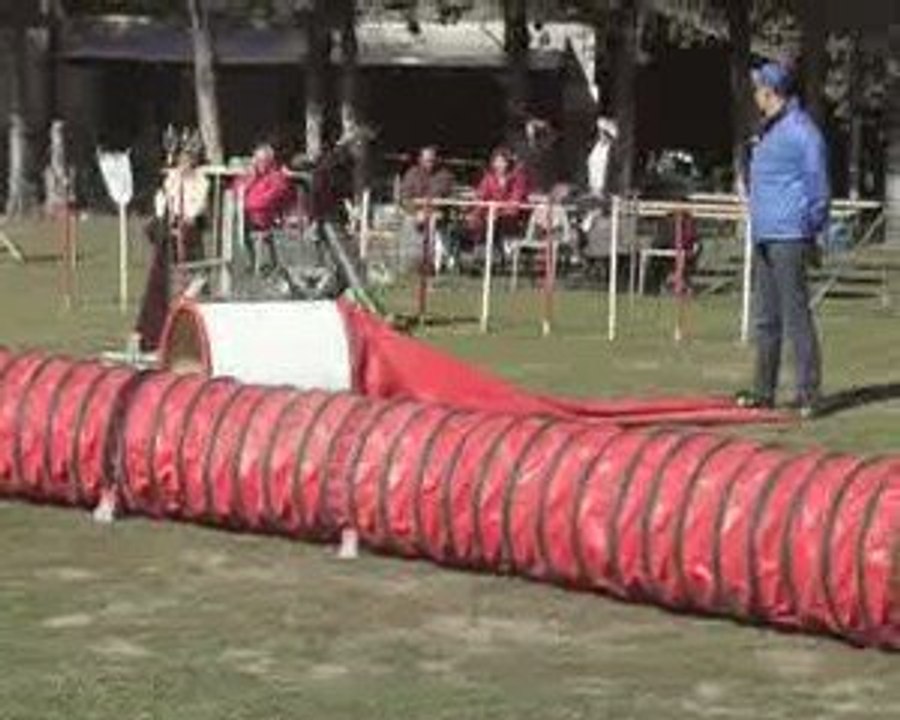 CDF australiens jump swanny