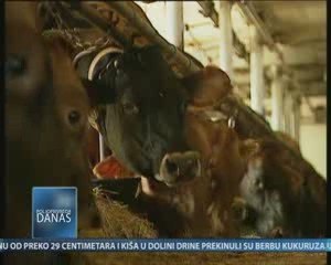 Poljoprivreda danas 21.10.2009.