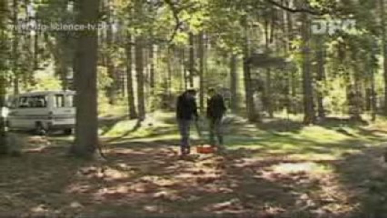 Giganten der steinzeit-04-am königsgrab