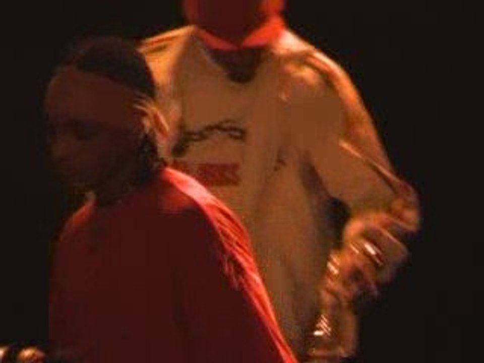 PANEL LARGE (SIMBA DOC BRROWN CRISF GOLDMC) - LIVE