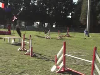 CDF australiens kido