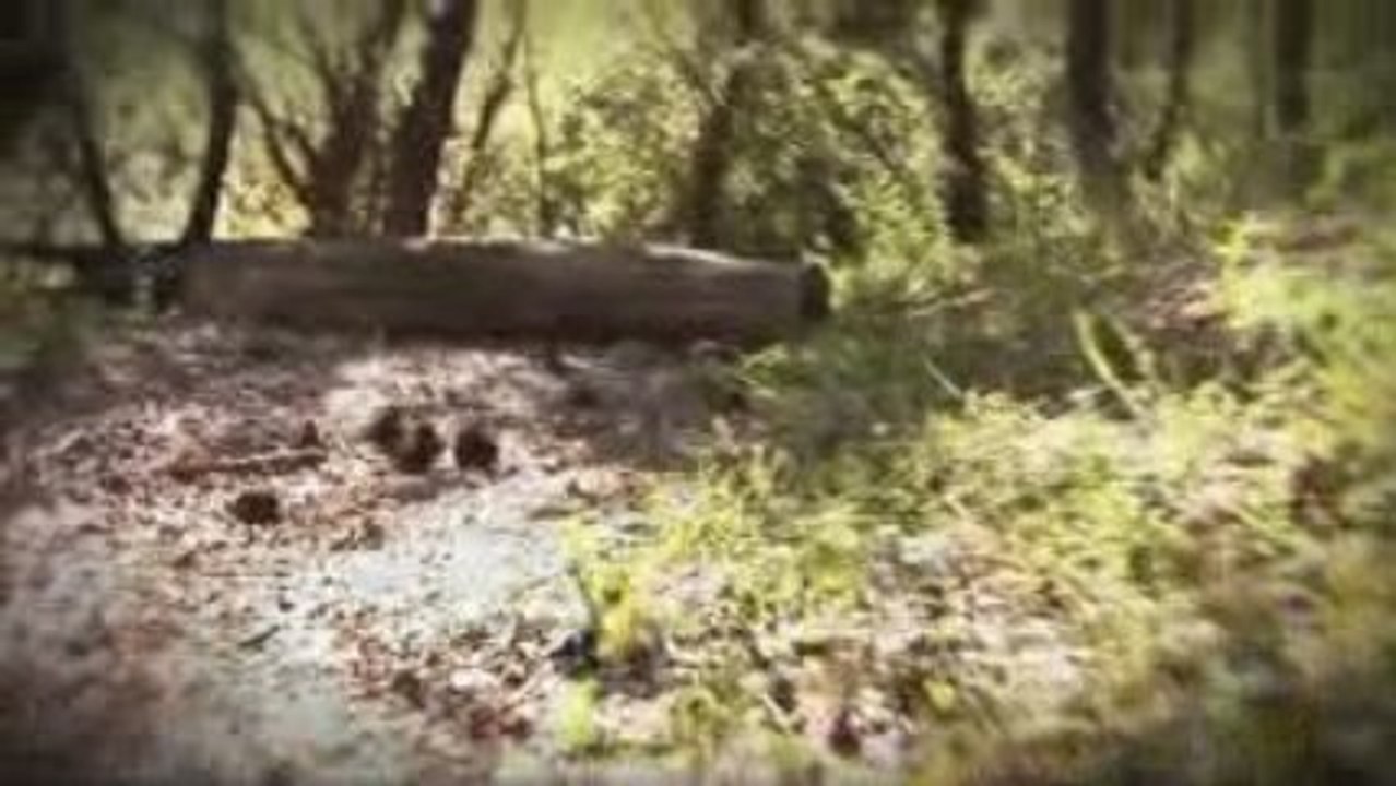 4 - Salle des refuges d'Art Andy Goldsworthy