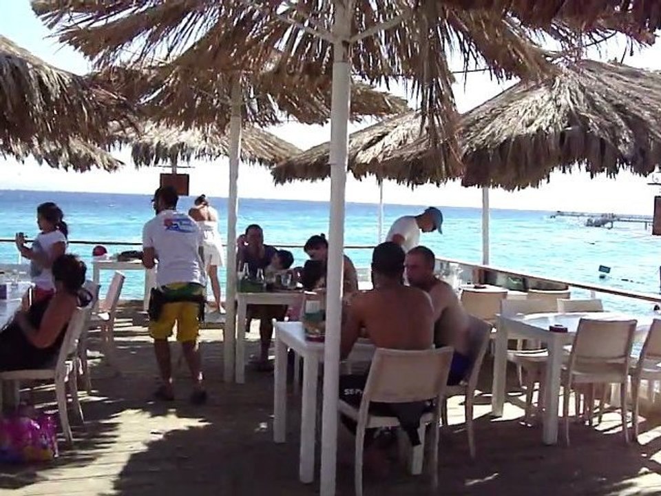 Plongée en Mer Rouge Eilat Coral Reef