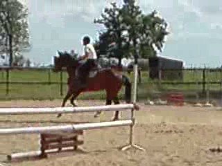 V210809_16.52[02] ECHANGE OU VENDS CHEVAL SF