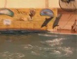 Troy Aquapark Dolphin show / Alanya-Antalya
