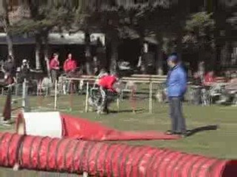 CDF australiens tequila jump