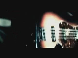 SCAR SYMMETRY - Morphogenesis