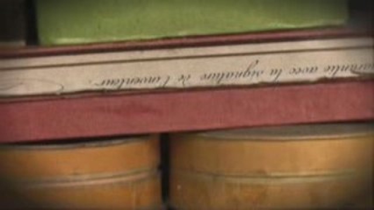 12 - Hall: oeuvre de Mark Dion