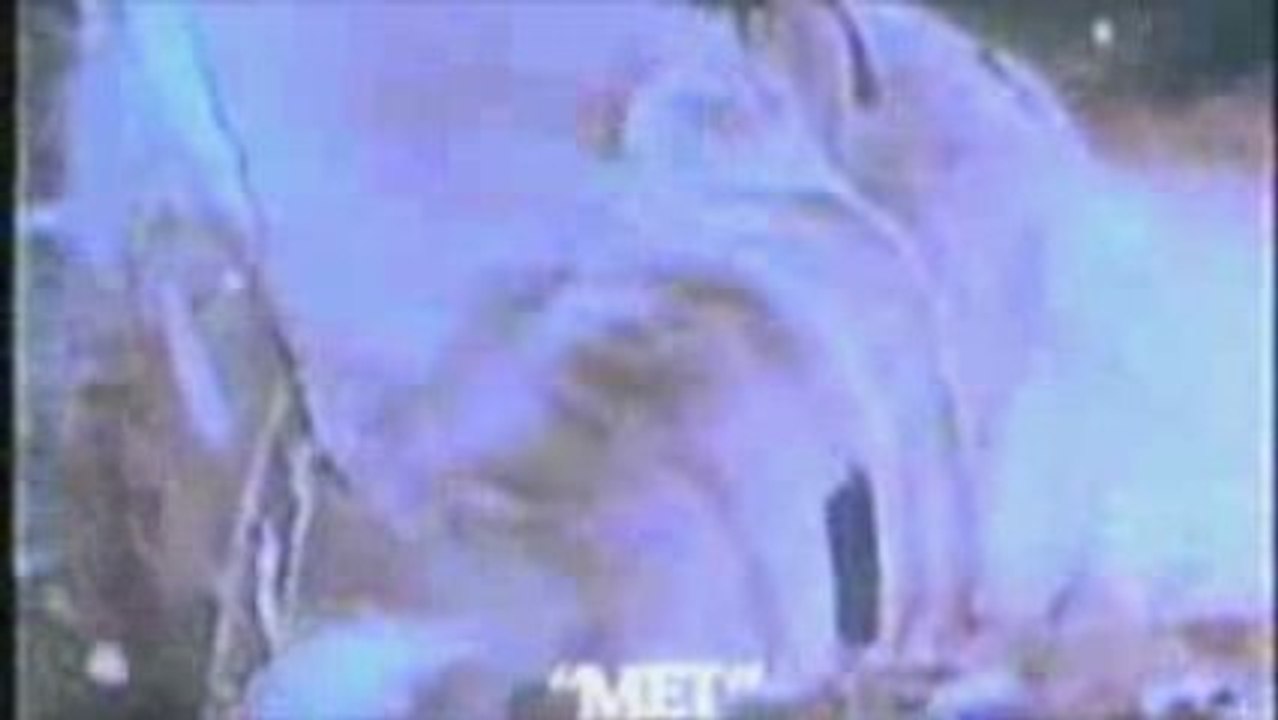 Preacher of the Savage truth - Everything (Official Video)