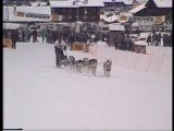 grand bornand, course de chiens de traineau NED