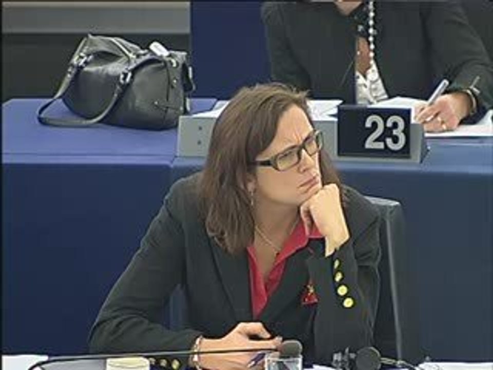 Charles Goerens on Preparation of the European Council