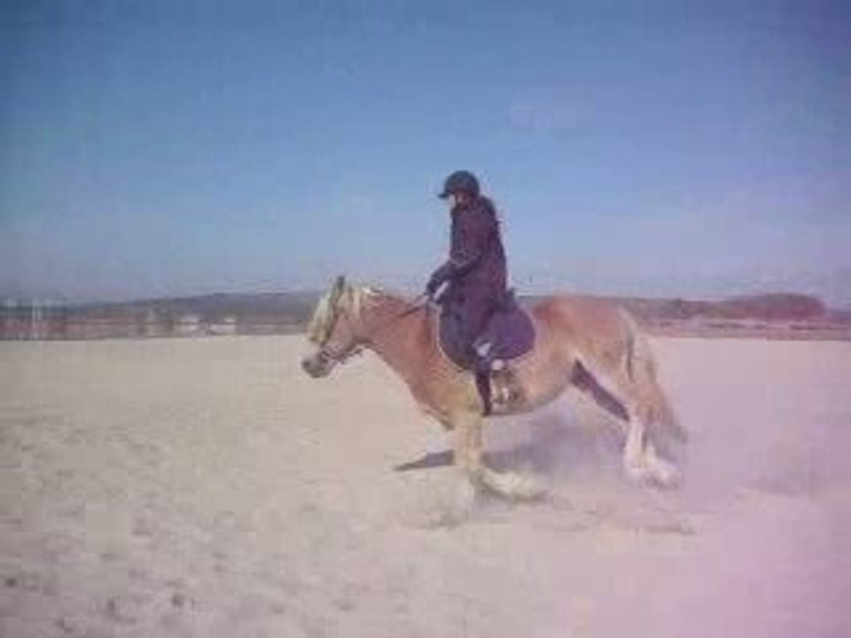 Quadjar au galop