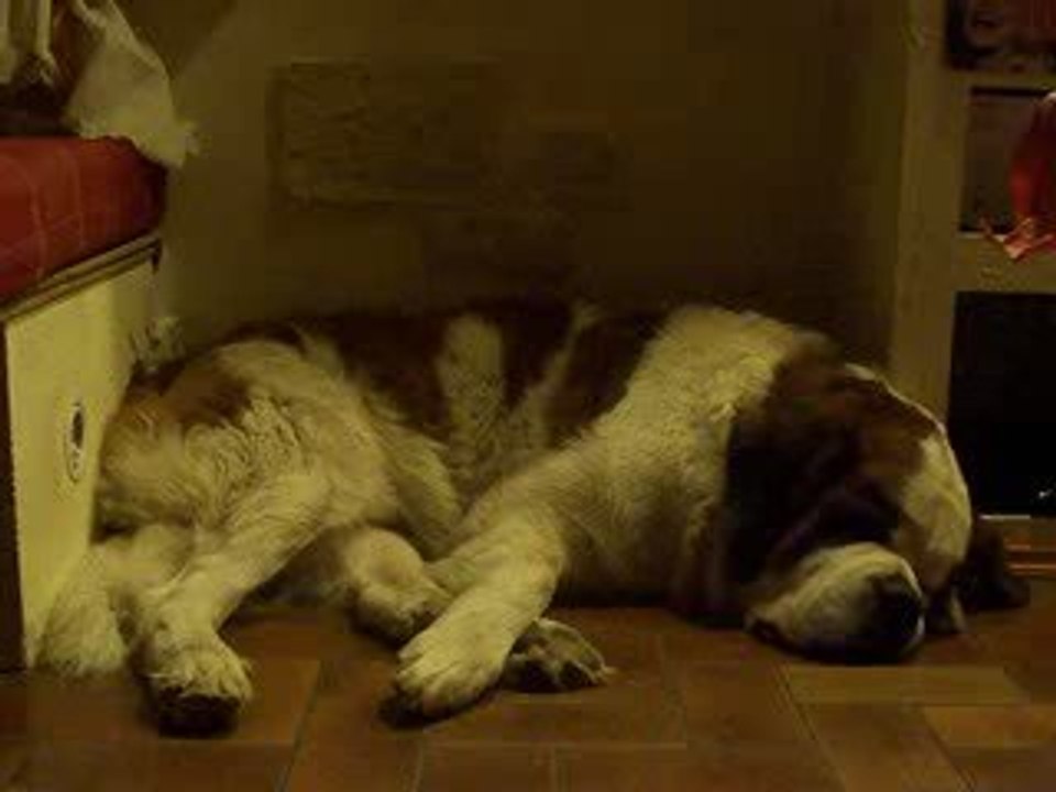 Titou dans ses rêves