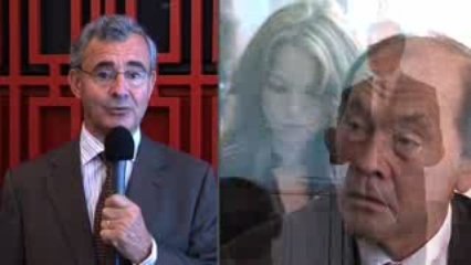 Philippe Pelletier, Avocat