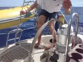 Le plus gros thon du monde