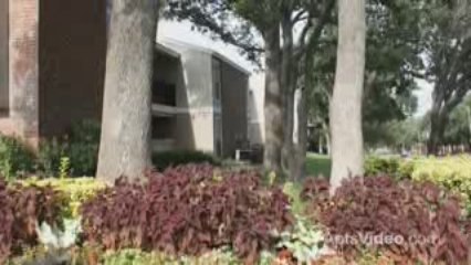 Springtree Apartments Homes For Rent in Arlington, TX