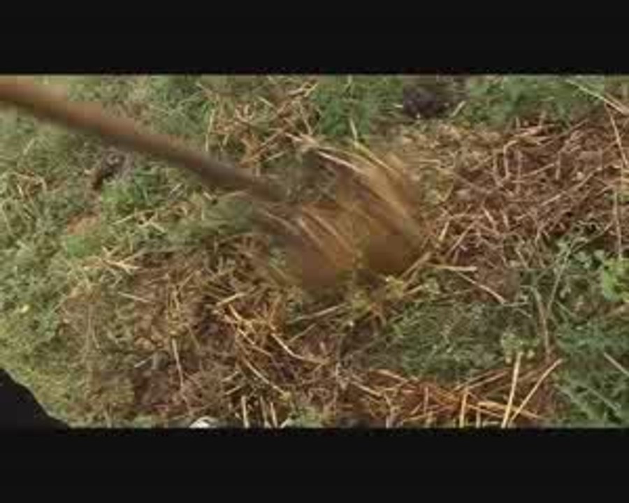 15 - Les potagers de Marcoussis