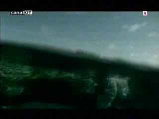 David Bisbal-Oye El Boom