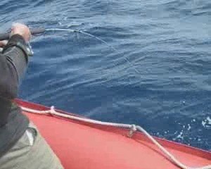 jigging :humour et parodie