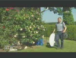 Von analog zu digital