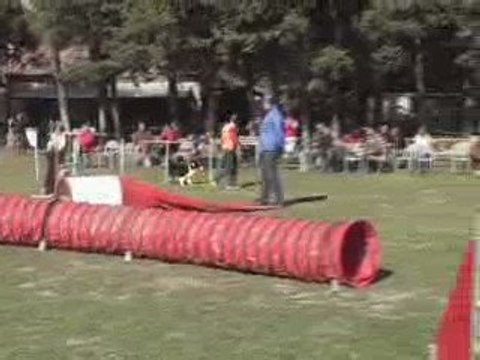 CDF australiens sandy jump tri