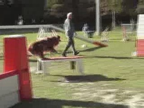 CDF australiens kyran agilty