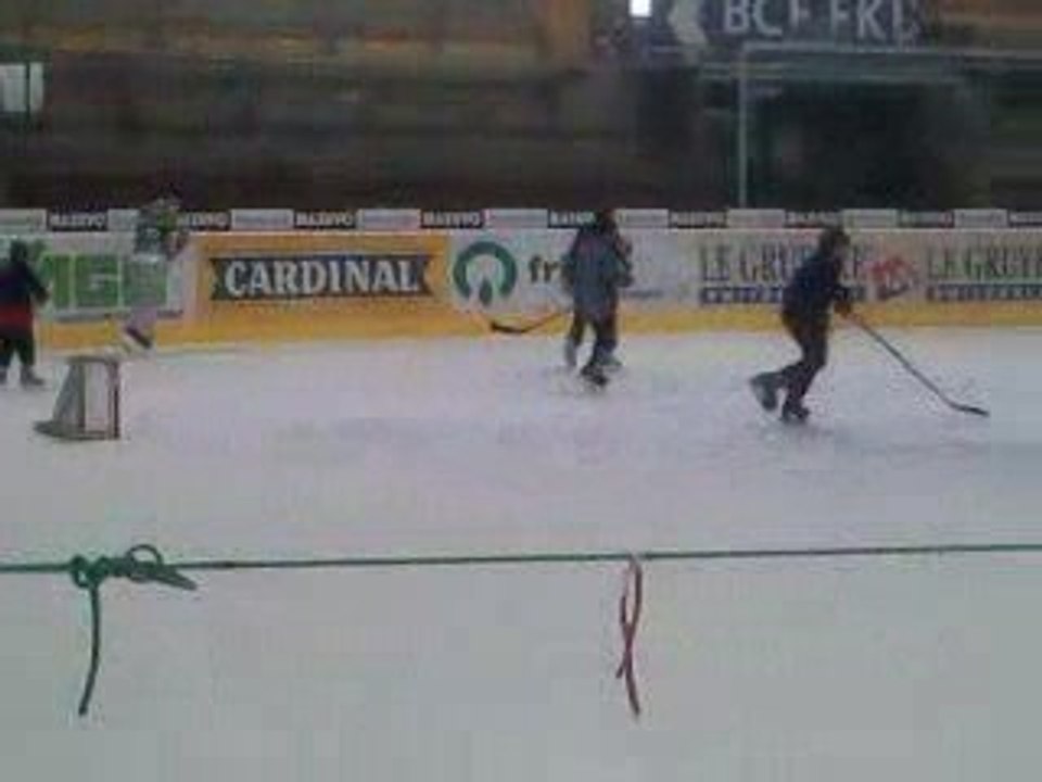 vive le hockey