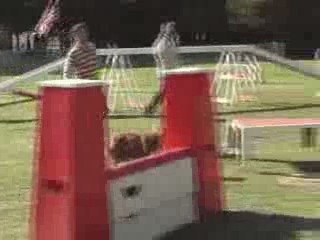 CDF australiens mickael