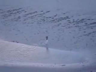 Descendre une dune de sable en flip et salto