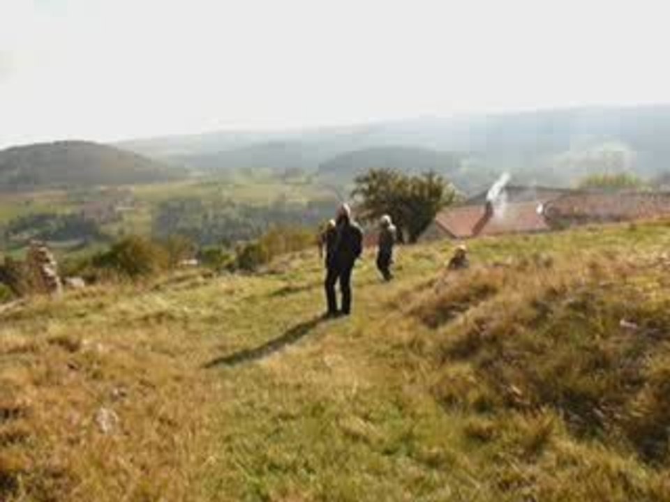 DANS LES MONTS ET LA PLAINE DU FOREZ - BALADE DU 18/10/2009