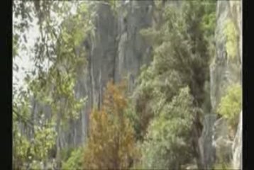 Une virée aux oiseaux (1ere version)