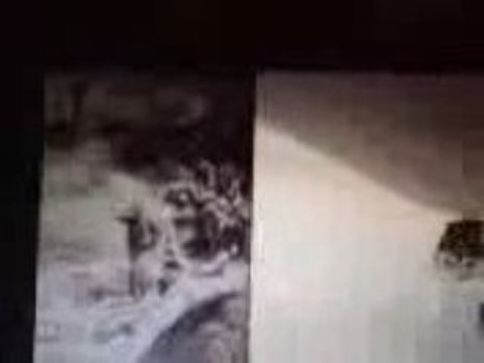 kan uykusu hangi bağın bağbanısan