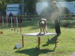 Couac 1 degré Bonrepos 09