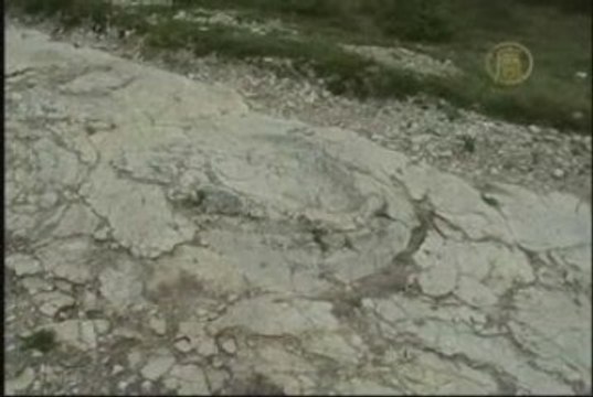 Découvertes d'empreintes de dinosaure en France