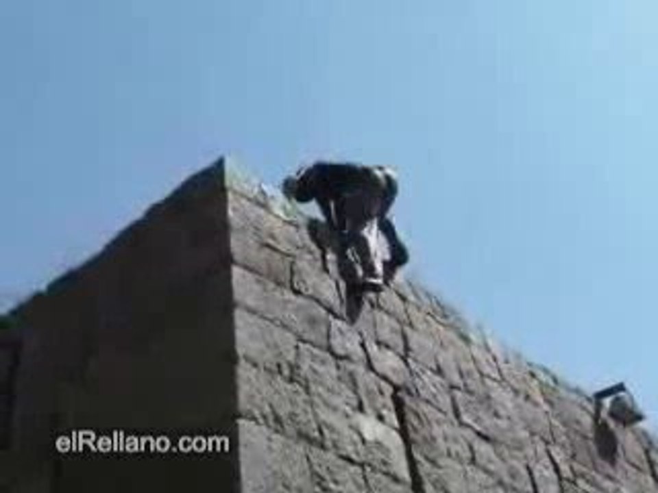 incredible escaladeur