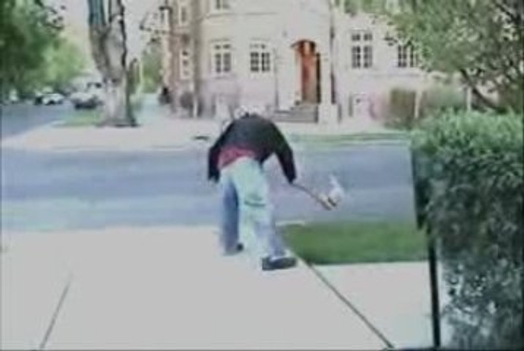 Walking The Dog