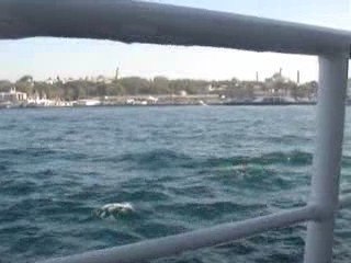 7 ekim (vapurda) cemalnur h 093