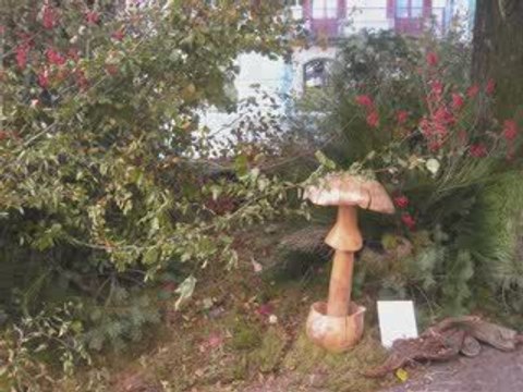 Châtaignes et Saveurs d'Automne 2009