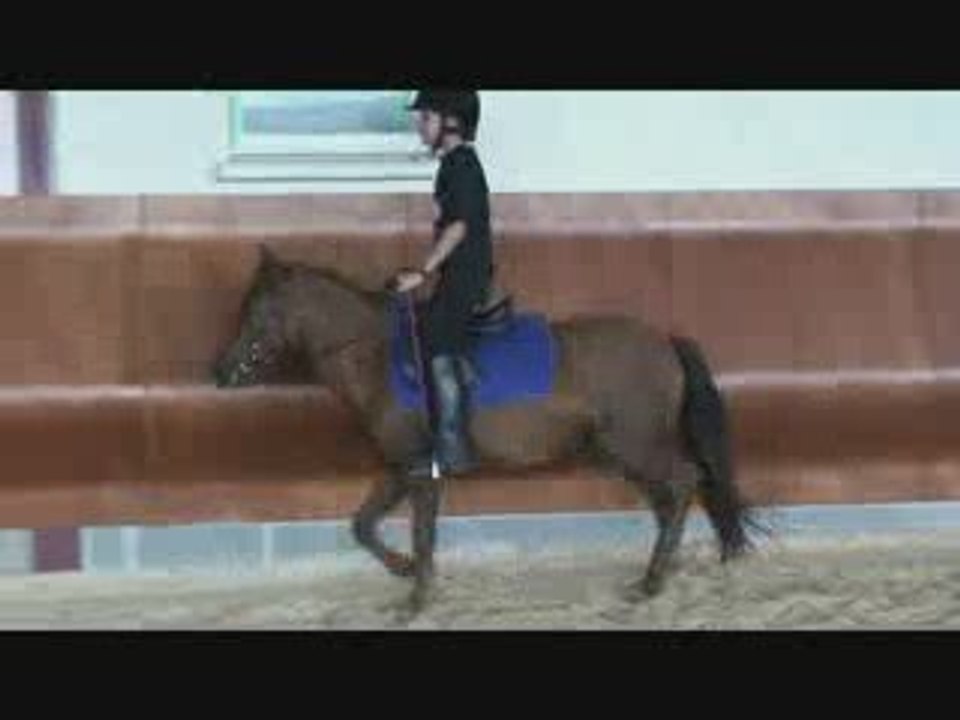 Centre Equestre les Ecuries du Relais Hérault Fabrègues
