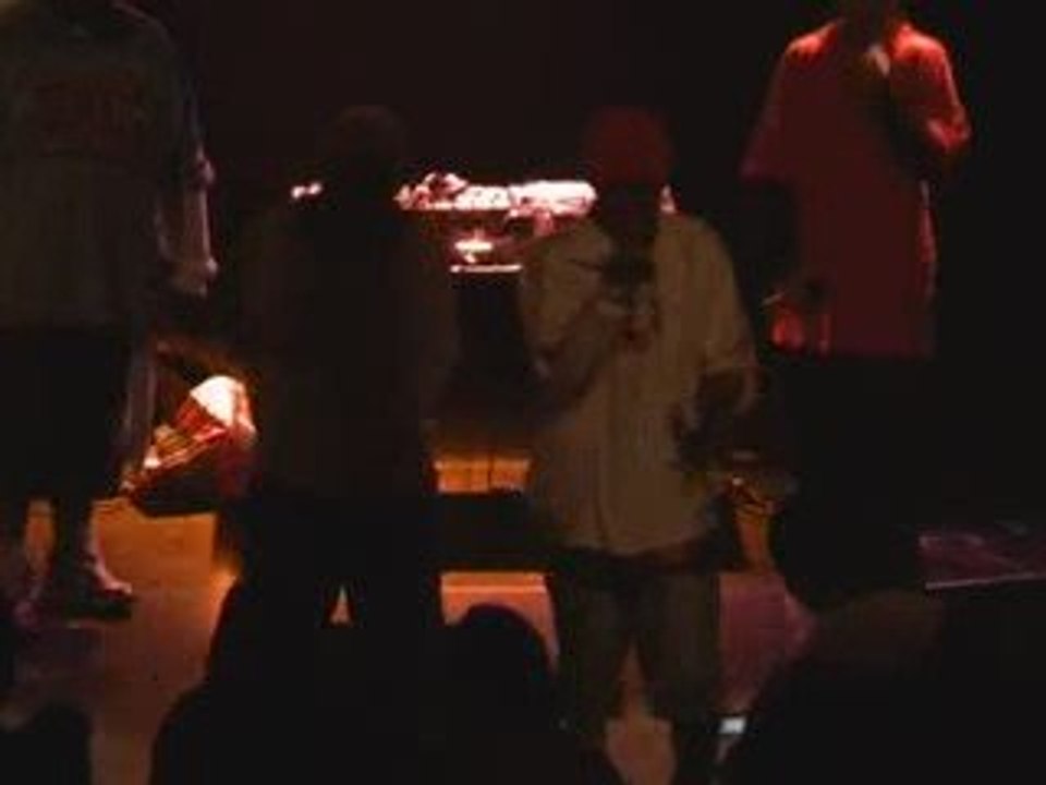 PANEL LARGE (SIMBA DOC BRROWN CRISF GOLDMC) - LIVE 2