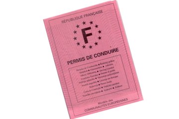 Permis à Points. Puis-je conduire le temps des recours ?