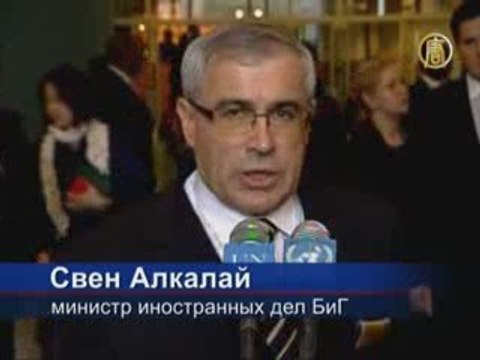 В Совет Безопасности ООН выбирают новых членов