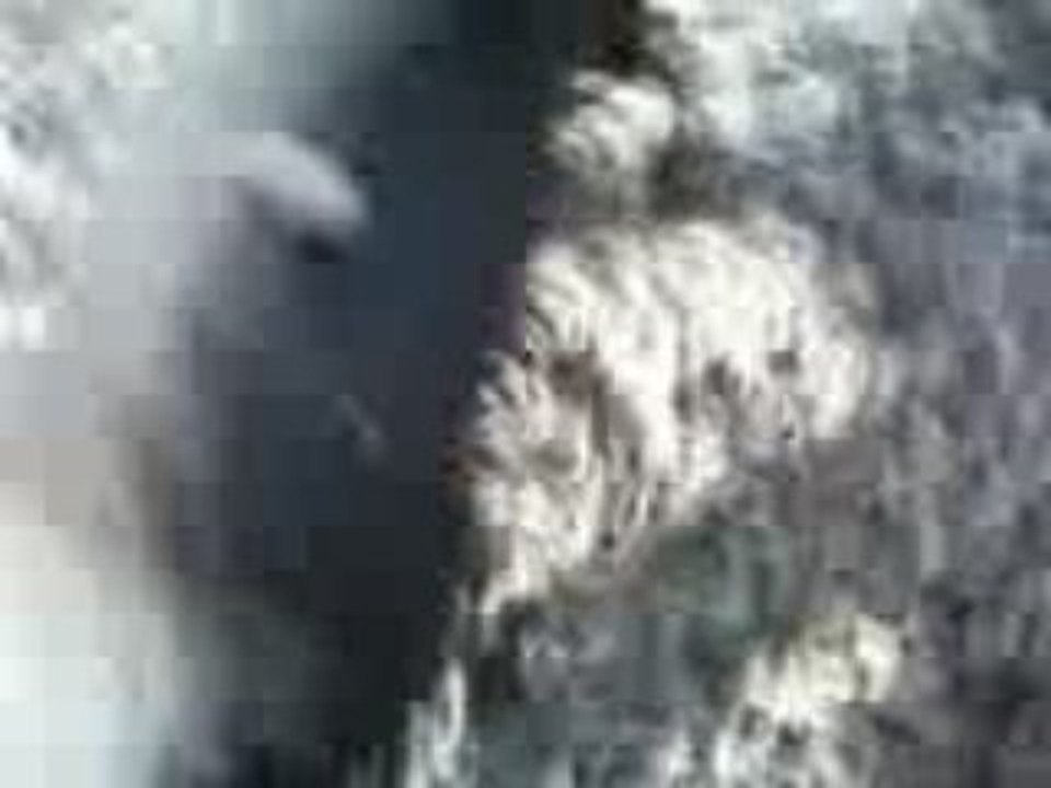 surghjente