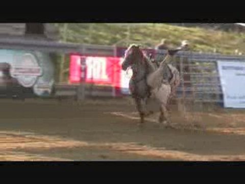 spectacle équestre / voltige cosaque