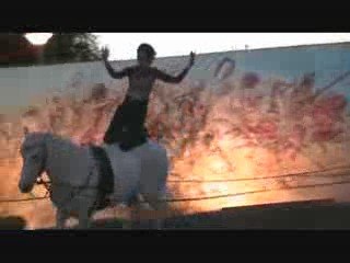 spectacle équestre western / le wild west show