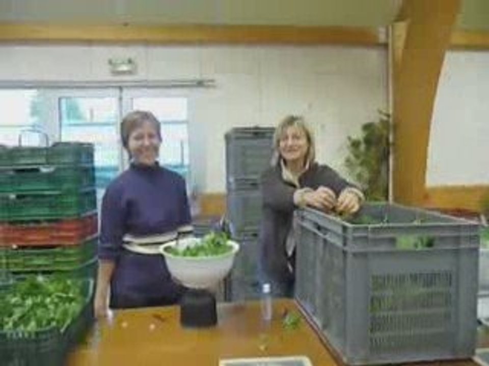 Amap de Mouroux : dégustations des premières soupes